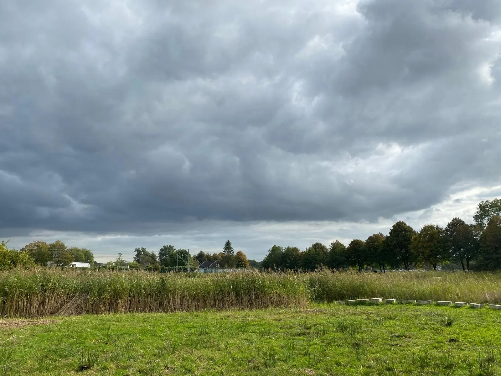 Vergezicht over het duinlandschap van Leyduin