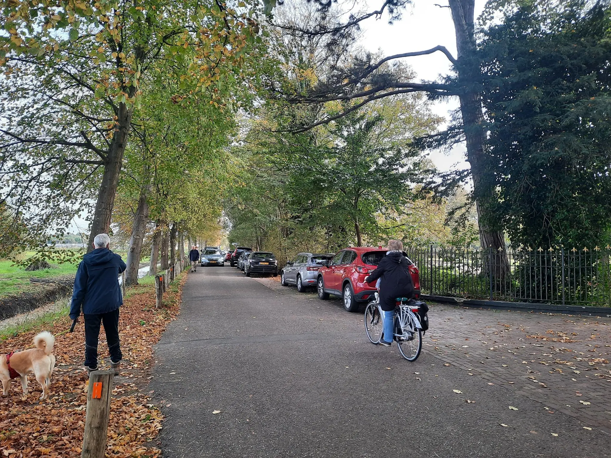 De smalle en drukke Manpadslaan, de huidige omleiding voor wandelaars naar Leyduin